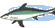 Back to FISH