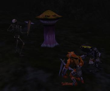 We're kicking Shroom!