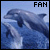 Dolphins Fan