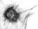 Drawings by Michela Meloni