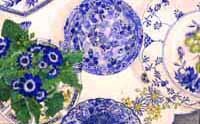 Judith Cheesbrough; Blue and White