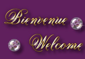 Welcome Bienvenue