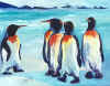 antartic.jpg (84272 bytes)