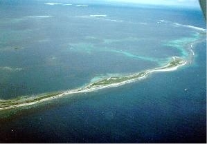 Morning Reef