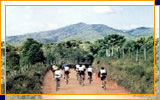 Imagem 08