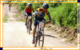 Imagem 02