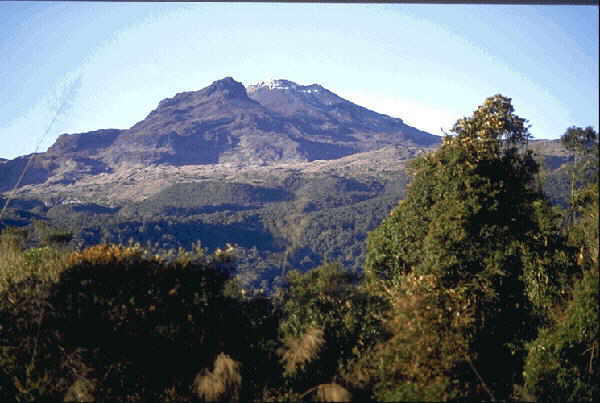 Pan de Azucar