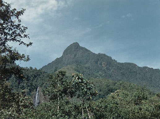 Pico El Loro