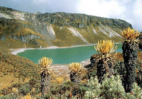 Laguna Verde en el Parque Nacional Natural Los Nevados
