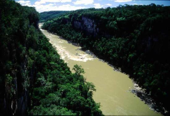 Ca��n del Araracuara