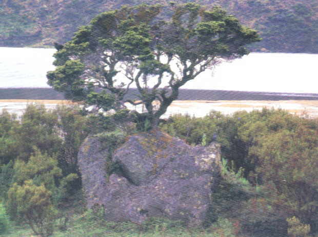 Laguna del Ot�n