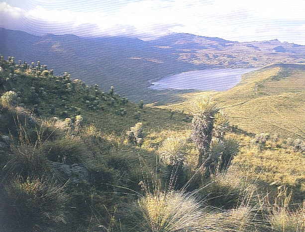 Laguna del Ot�n