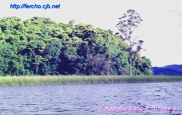 isla de La Corota