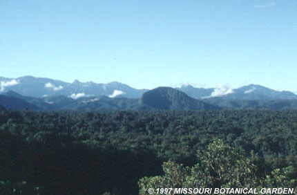 Reserva Natural de La Planada