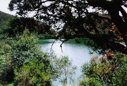 Laguna