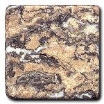 a-snake-skin.jpg