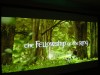 lotr_01