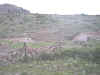 beh1.jpg (62953 bytes)