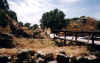 troy7.jpg (47666 bytes)