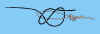 24.jpg (23192 bytes)