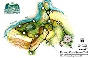 For more information on this site and chum salmon, go here!