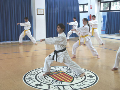 karate