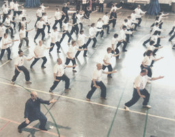 taichi