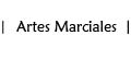 artes marciales
