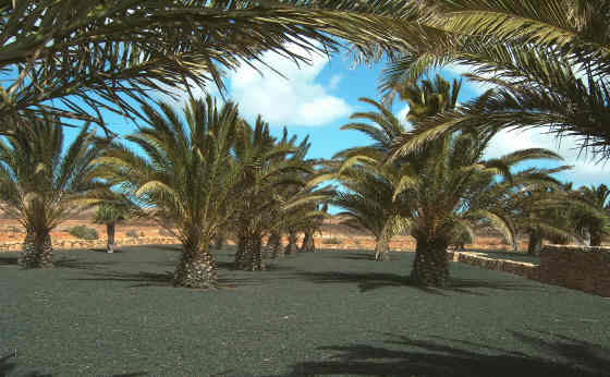 Craft centre at Antigua Fuerteventura