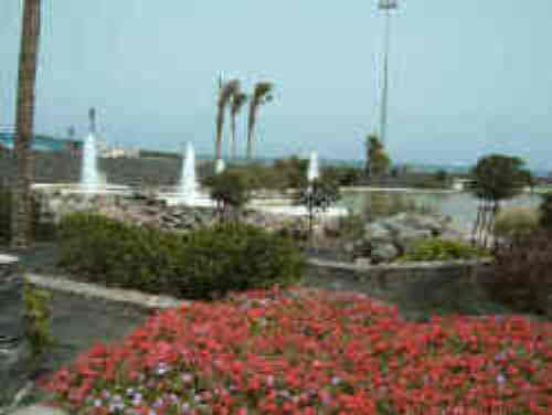 www.rent-fuerteventura.com