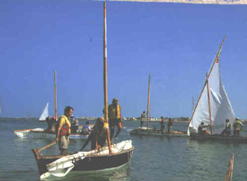 www.rent-fuerteventura.com