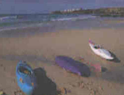 www.rent-fuerteventura.com