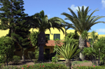 apartments for sale fuerteventura