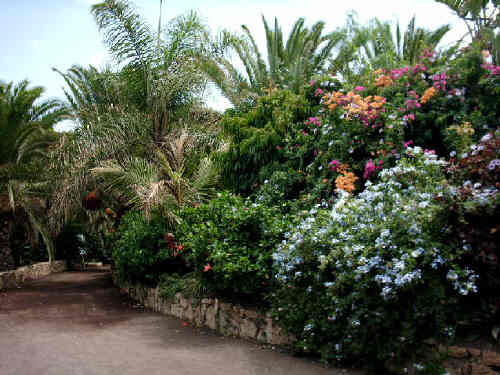 La Lajita botanical gardens Fuerteventura