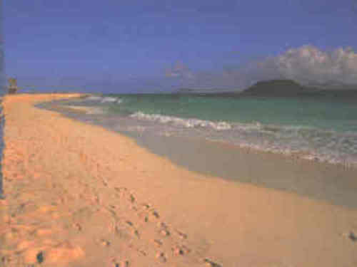 Can You Make A Home In An Unihabited Island Can You Make A Home In An Unihabited Island