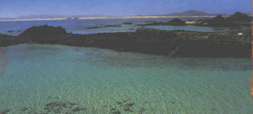 Corralejo beaches - the famous dunes