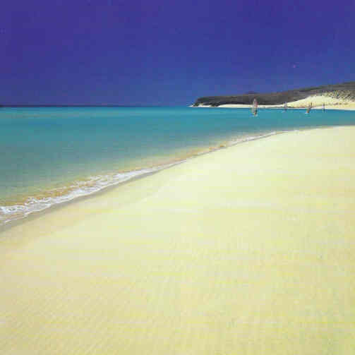 Corralejo beach Fuerteventura