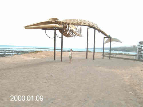 sea salt museum, Fuerteventura