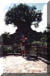 tree_of_life.jpg (70121 bytes)