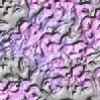 100.jpg (5304 bytes)