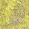 10.jpg (3034 bytes)