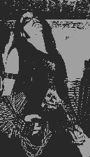 [[ Tyrant ]]