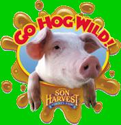 CLICK HERE for pictures of VBS 2006!