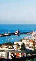 View of the Harbour from the plot