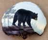 bear.jpg (68470 bytes)