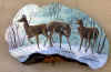 deer.jpg (78672 bytes)
