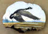 goose.jpg (72986 bytes)