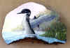 loon.jpg (75250 bytes)