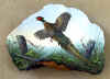 pheasant.jpg (80697 bytes)
