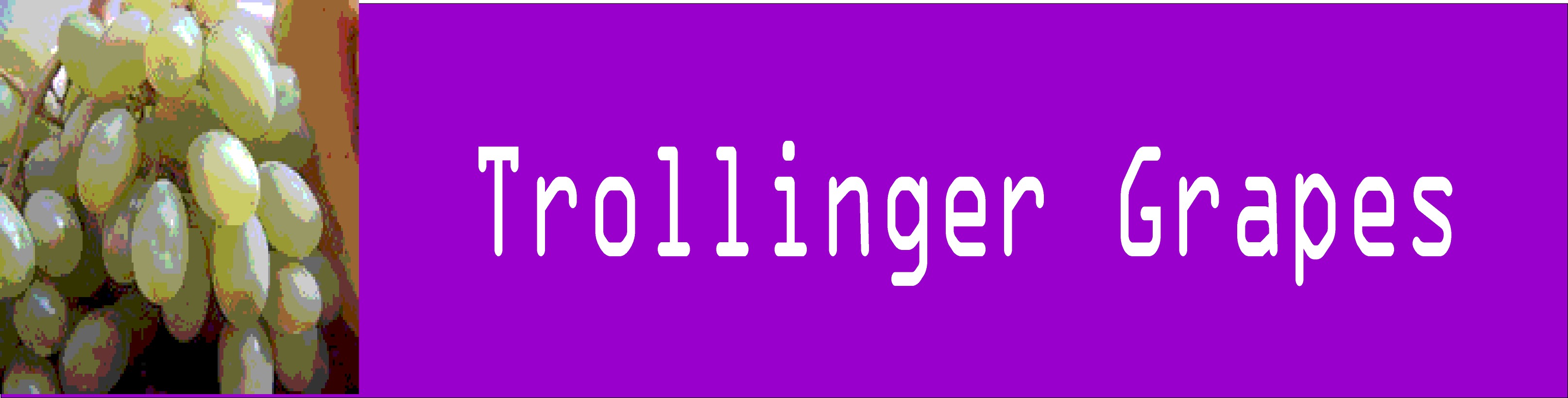 Trollinger Grapes